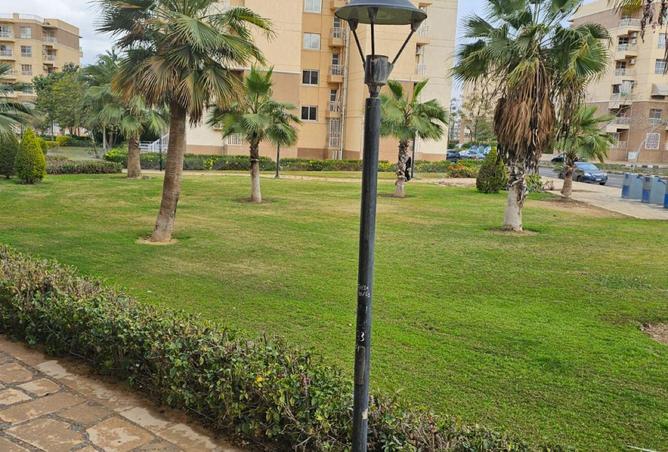 58992213 - صورة العقار 3