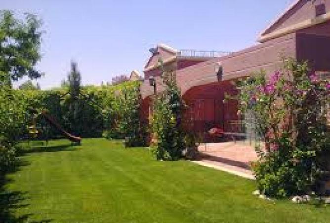 69053785 - صورة العقار 3