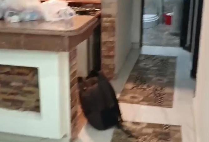 8552718 - Property Image 2