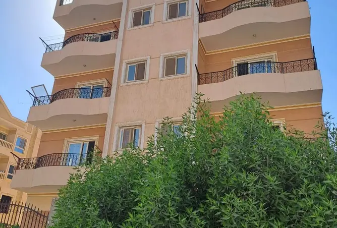 120354509 - صورة العقار 2