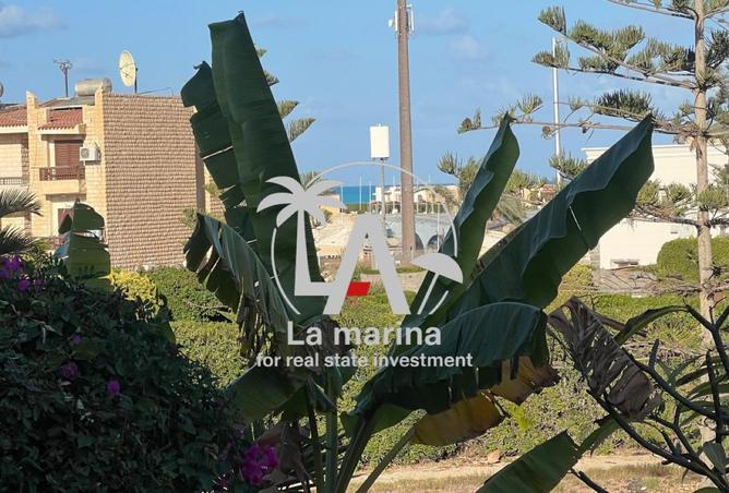 55257860 - الصورة الرئيسية للعقار