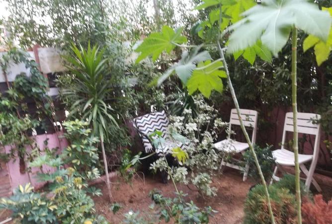 63144381 - Property Image 3