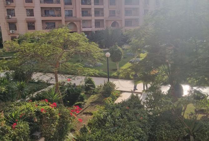 8484803 - Property Image 3