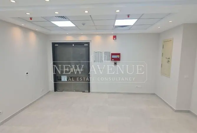 113260382 - Property Image 3