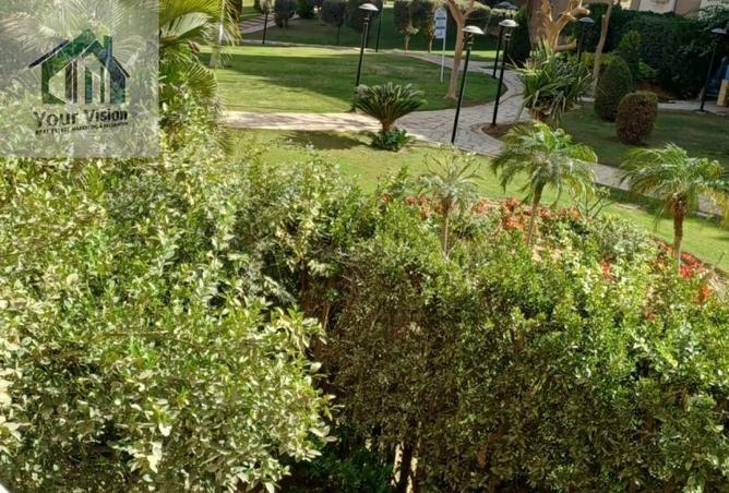 54490352 - صورة العقار 2