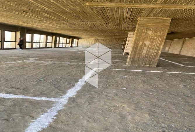 8613224 - Property Image 3