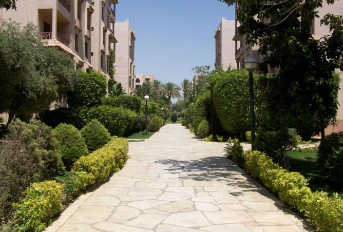 86685191 - Property Image 2