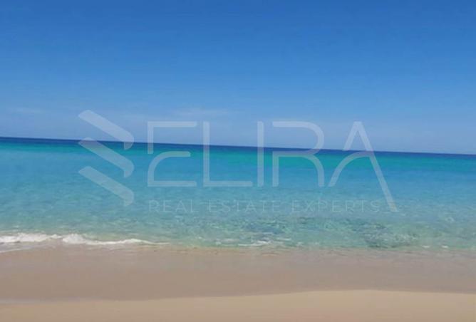 91845815 - صورة العقار 2