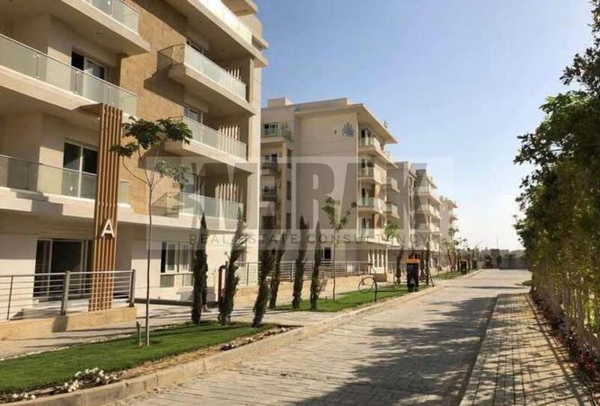 7490392 - Property Image 3