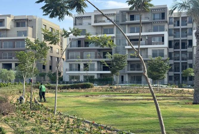 8584554 - Property Image 3