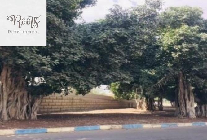 59239726 - صورة العقار 2