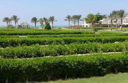Chalet - 3 Bedrooms - 2 Bathrooms for sale in Paradise Ras Sudr - Raas Matarma - Ras Sedr - South Sainai Chalet - 3 Bedrooms - 2 Bathrooms for sale in Paradise Ras Sudr - Raas Matarma - Ras Sedr - South Sainai