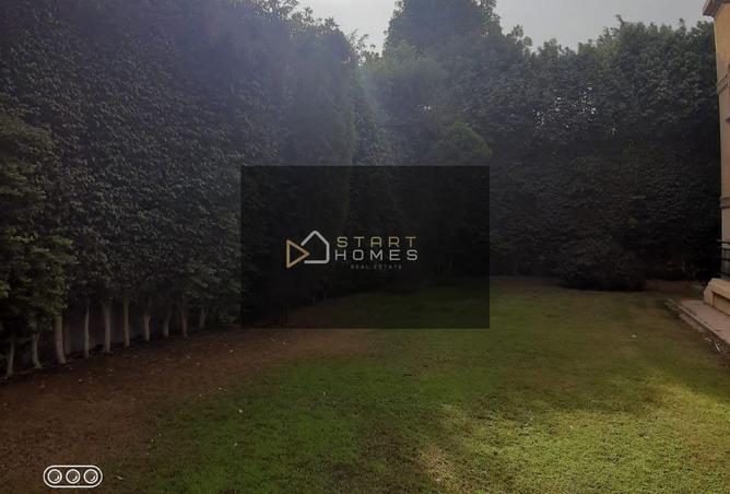74595807 - Property Image 3