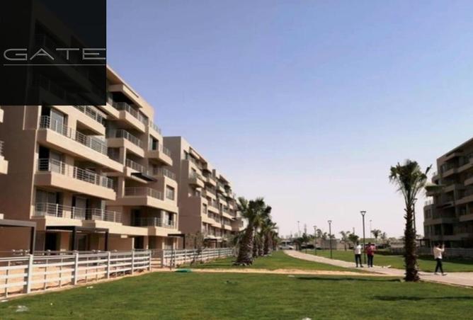 8449135 - Property Image 3