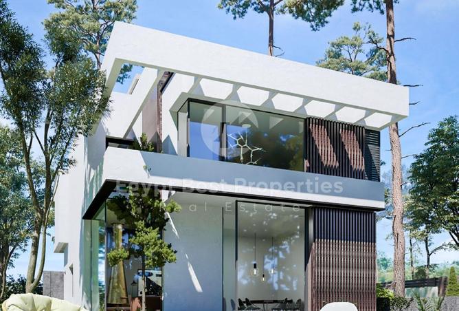 66175589 - الصورة الرئيسية للعقار