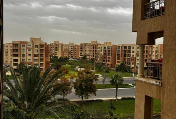 63146687 - صورة العقار 3