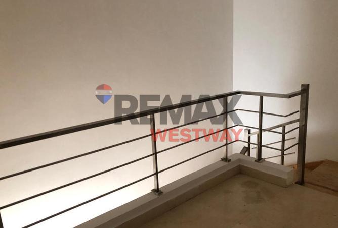 62173919 - Property Image 3