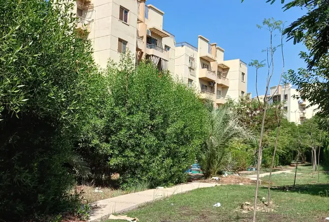 108519032 - Property Image 2