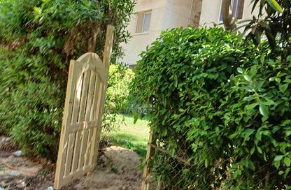 Apartment - 2 - 1 for rent in Al Mostakbal - 12th District - Sheikh Zayed City - Giza