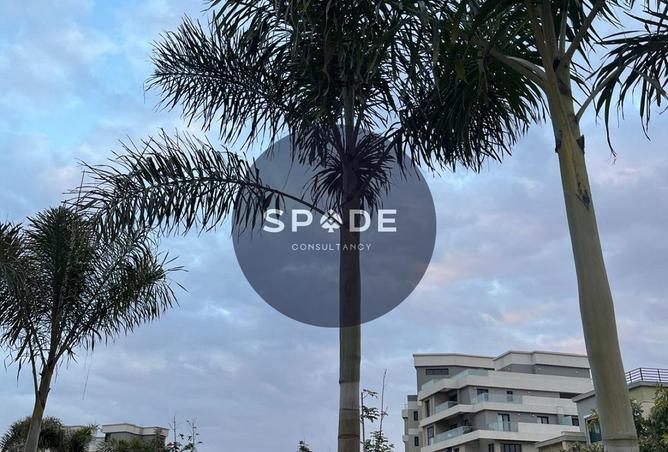 60470928 - Property Image 3