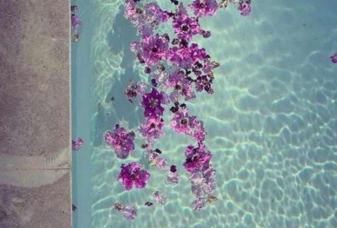 65924606 - الصورة الرئيسية للعقار