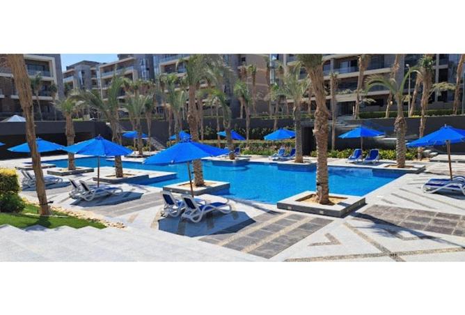 53735431 - Property Image 2