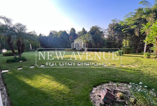 8401681 - Property Image 3