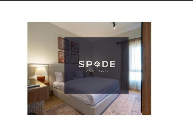 8573689 - Property Image 2