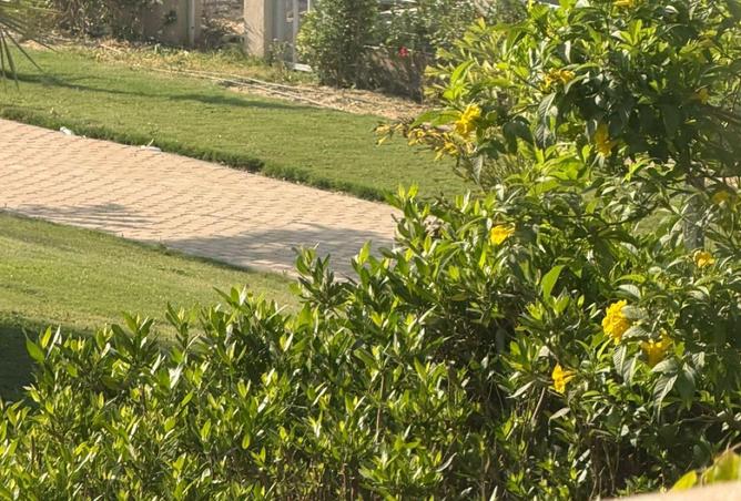 73771324 - صورة العقار 2