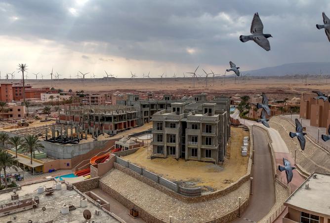 8508499 - Property Image 2