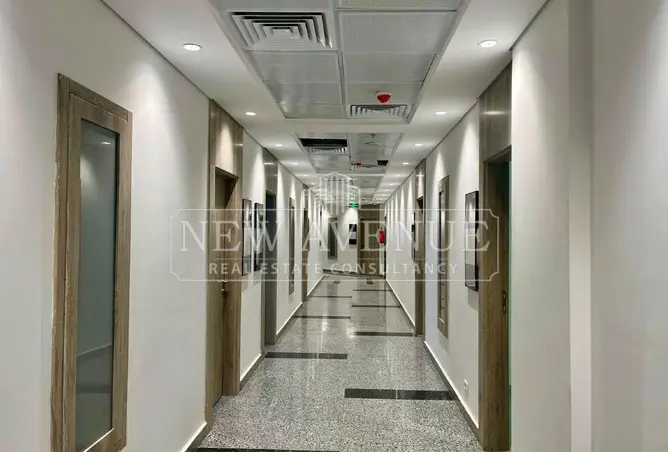 113537317 - Property Image 3
