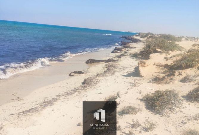 8568930 - Property Image 2