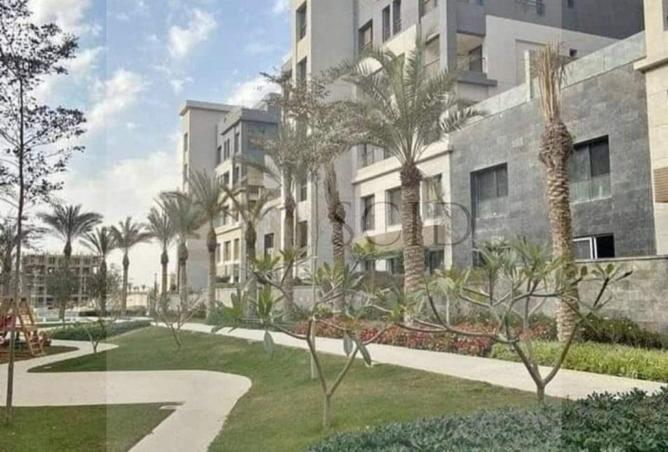 66427736 - Property Image 2