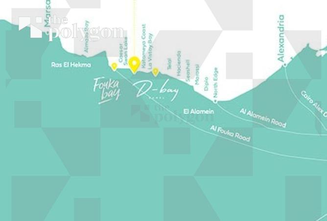 54496164 - Property Image 3