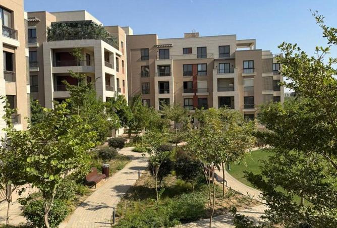 65155400 - Property Image 3