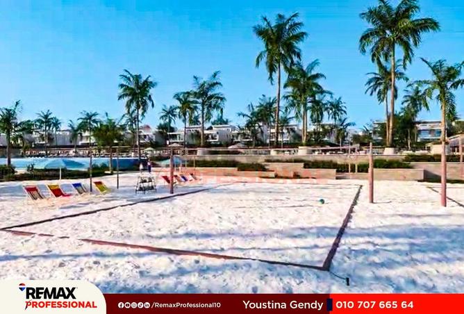 55994735 - صورة العقار 3