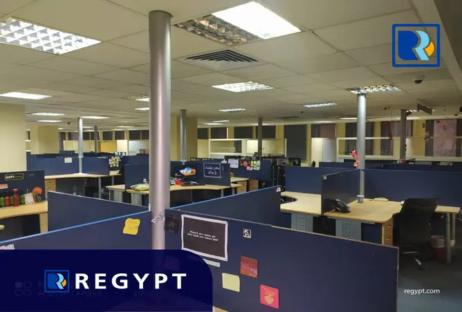 116741030 - Property Image 3