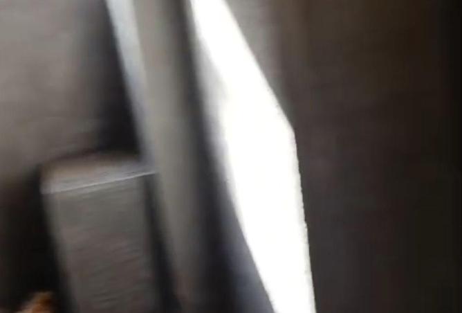 73491951 - صورة العقار 3