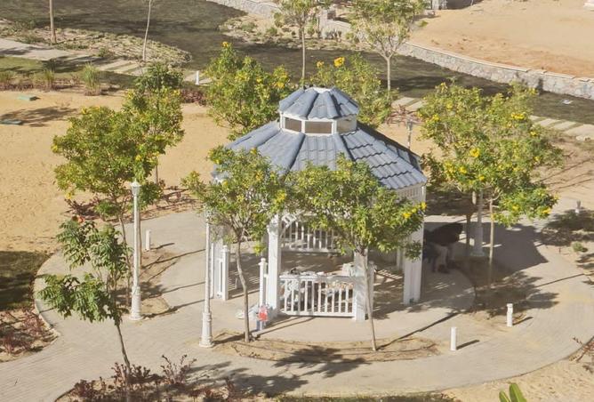 62406197 - Property Image 3