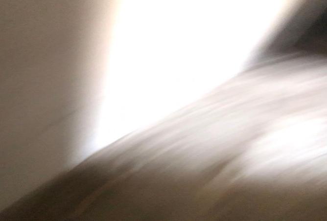 8545279 - صورة العقار 3