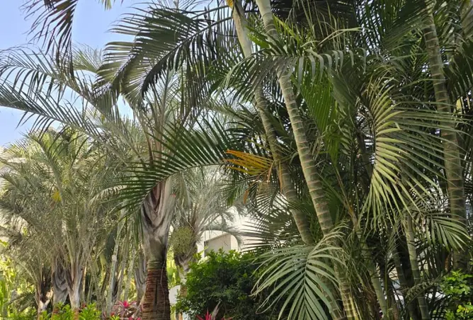 106027328 - Property Image 3