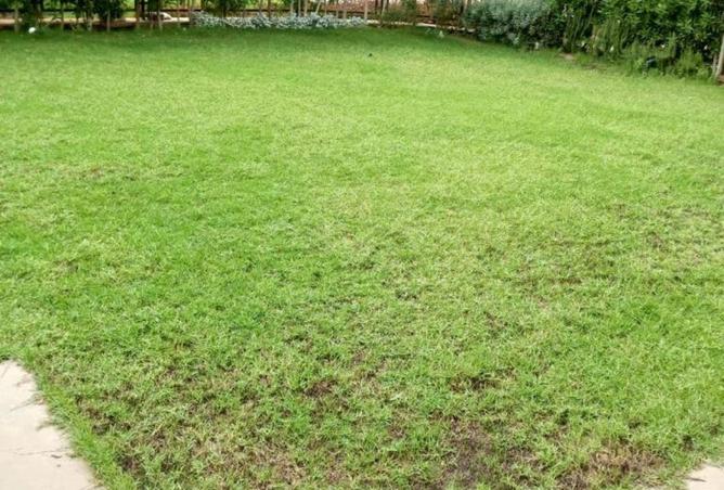 71398790 - Property Main Image
