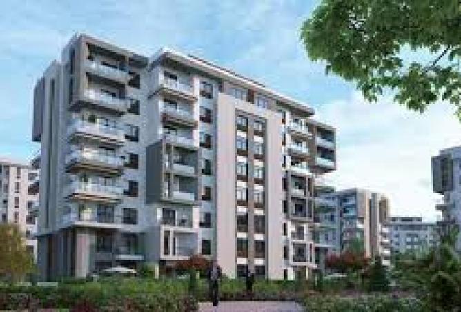 62401449 - Property Image 3