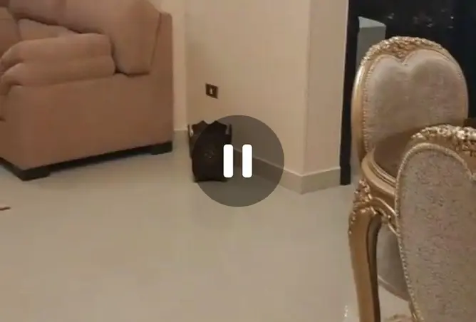 80250738 - صورة العقار 3