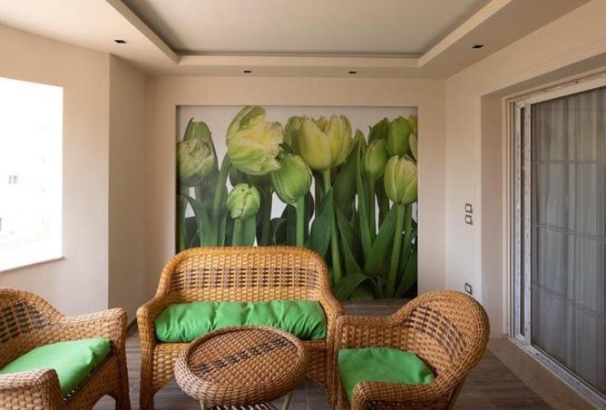 8664869 - Property Image 3