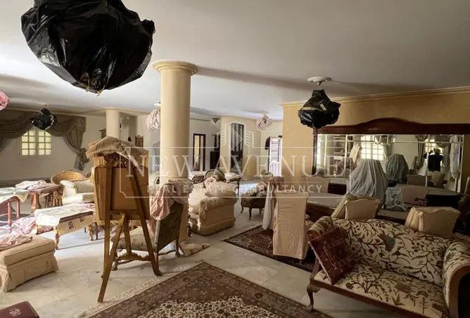 110746883 - Property Image 3