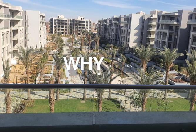 64905815 - صورة العقار 3