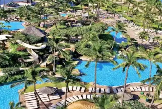 59752169 - صورة العقار 3