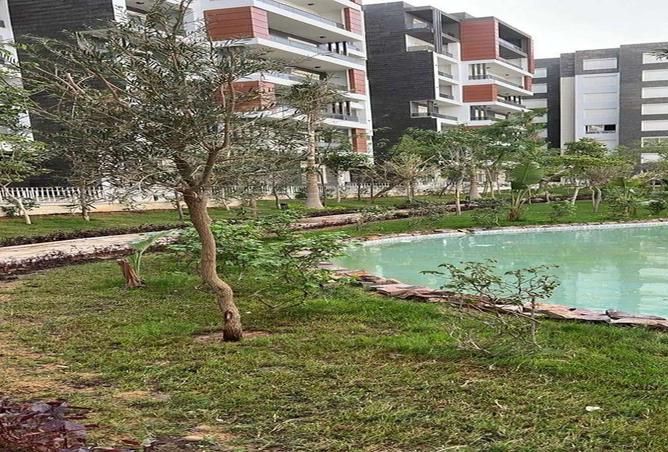 92682008 - صورة العقار 3