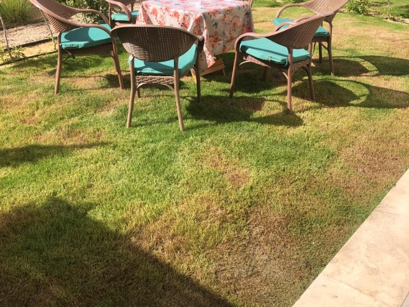 2BR Chalet | Private Garden | Marassi Greek thumbnail